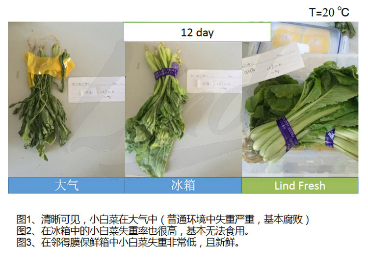 1639039268323595.jpg 鄰得膜生鮮果蔬自發(fā)氣調(diào)保鮮包裝技術(shù)詳情換成這個(gè)_02.jpg