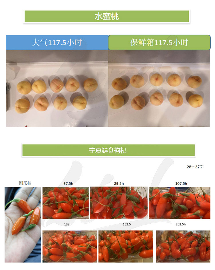 1639039287103567.jpg 鄰得膜生鮮果蔬自發(fā)氣調(diào)保鮮包裝技術(shù)詳情換成這個(gè)_04.jpg