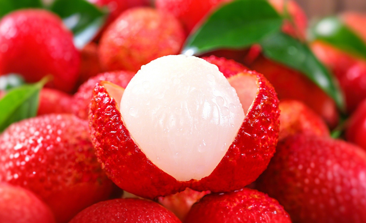 古今保鮮智慧的交響：從《長安的荔枝》李善德到核孔膜技術的跨越