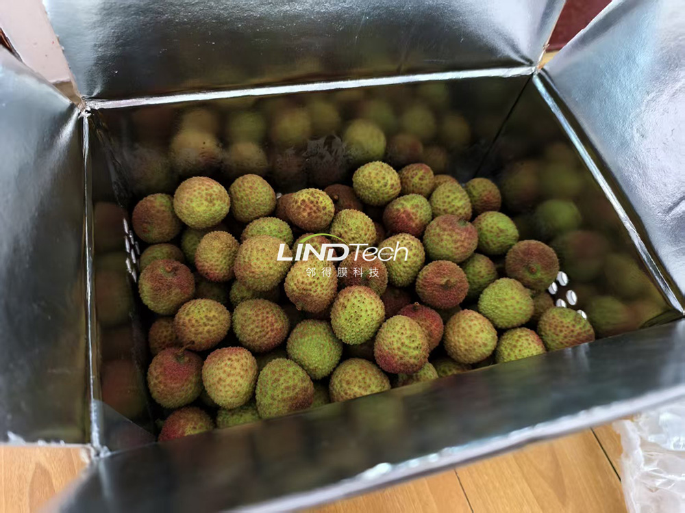 鄰得膜科技：創新常溫物理保鮮技術，破解荔枝保鮮難題