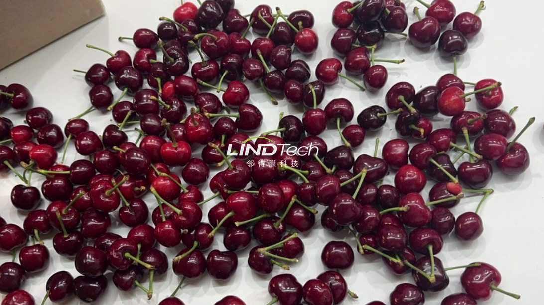核孔膜保鮮箱：讓嬌嫩的甜櫻桃遠(yuǎn)行無憂